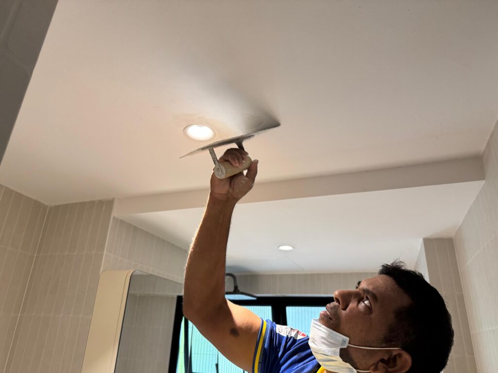 eden design plastering