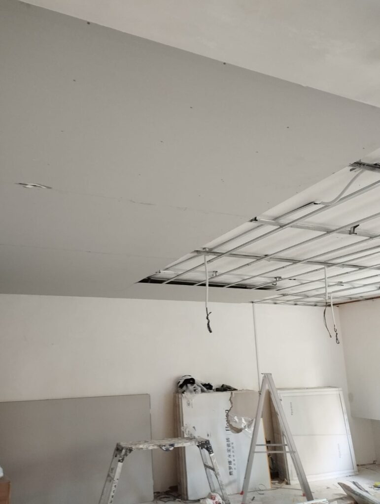 eden plaster ceiling